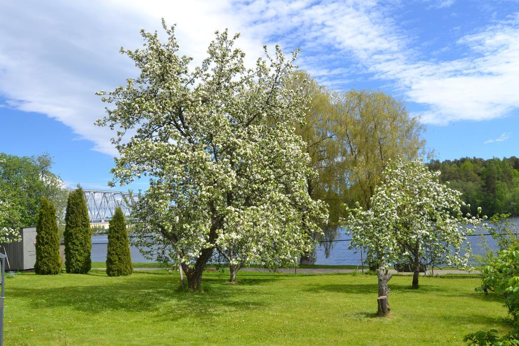 Lossiranta Lodge Savonlinna Exteriér fotografie